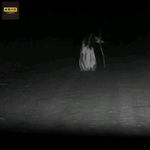 白衣女鬼、拦路匪患，湖南耒阳107 国道，父亲的深夜恐怖奇遇