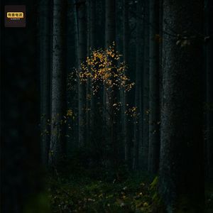 家里有个顽皮鬼、头七回来的自杀护士、被迷惑上吊、领导宿舍集体见鬼事件、托梦烧寒衣