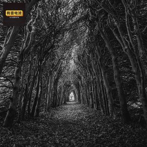 守夜怪事、女人名叫戴红的上身事件、小心开夜车、景区山上中看见怪人