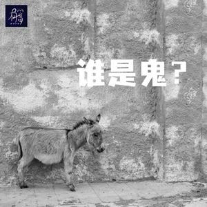 赶集也能出事，是人是鬼只有驴知道