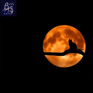 笔仙、妖邪、僵尸,都是喜欢的短篇