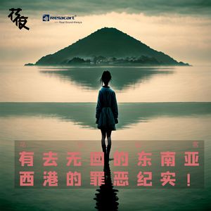 有去无回的东南亚，西港的罪恶纪实｜花饺接客