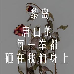 Ile.33 唐山的每一拳都砸在我们身上 |法国类似事件探讨