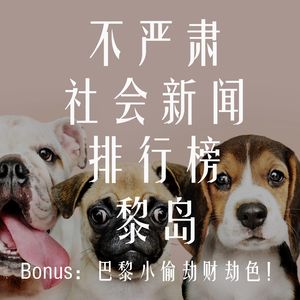 Ile.15 不严肃社会新闻排行榜 Bonus：巴黎小偷劫财劫色！|爆笑新闻|人生海海