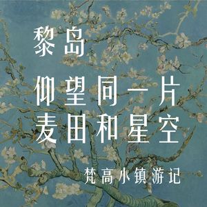 Ile.69 仰望同一片麦田和星空 |梵高小镇游记