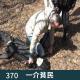 370-俄罗斯杀人魔、残忍肢解82名女子