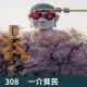 308-把我们的春节一股脑儿的都说了