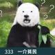 333-这些规矩是谁研究的？