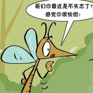 【蚊子】与我们人类的战争打了多久？亚历山大、成吉思汗都输了，我们会赢吗？
