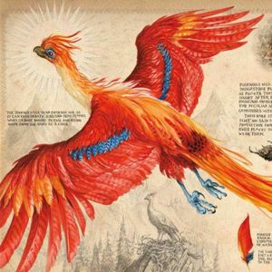 神奇动物之【凤凰】：从埃及《亡灵书》到中西方的涅槃神鸟