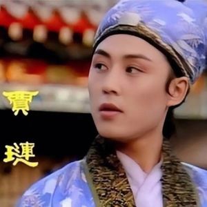 《红楼梦》24.贾琏：我就想犯个错误