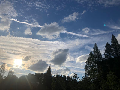 【相约成长】延迟满足，关键是满足