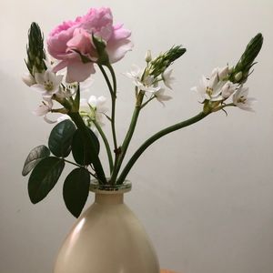 【相约成长】看到语言背后的情绪