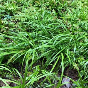 【相约成长】我不是冷漠，只是想休息一会