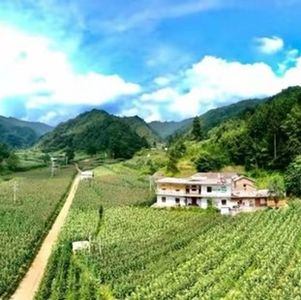 001期：我从“全村的希望”变成“全村的失望”经历了什么