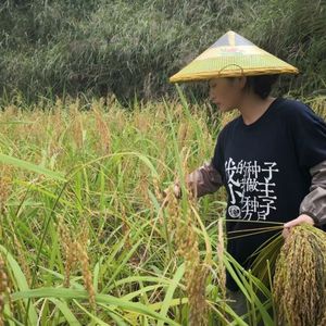 002期：云上太阳，她从不改变