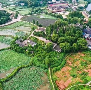 011期：郝堂十年，发生了什么？