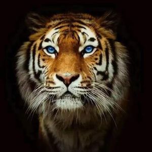 EP04 节后要开工，哪来的emo本魔？