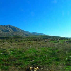 透过防弹车玻璃的中东佛系美好生活 ~ 四海漫游