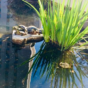 四个行业五个城市的打工人对「唯快不破」「绩效」和「鸡娃」的大讨论 ~ 五洲行话