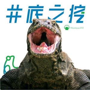 蝌蚪报告 #3 - 科莫多龙