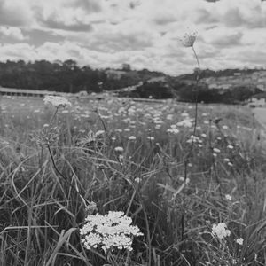 王抒今，祝你生日快乐 ·桒悳SOUND·第十季·No.77