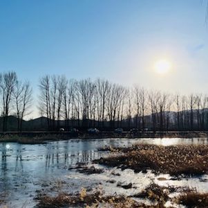 写给自己的信，送给犹豫纠结的你