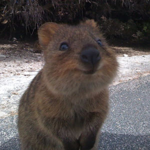 008. 放弃保研后,我边打工边环游澳洲