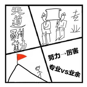 66.沉思录 | 是否真的天道酬勤/怎样努力才能成为很厉害的人/业余和专业最大的区别？