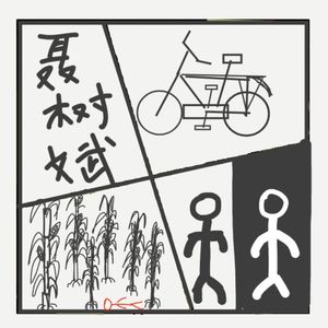 462.聂树斌案：一份迟到二十一年的无罪判决