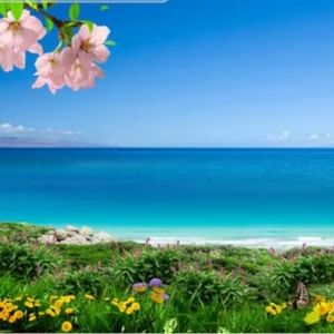 宇宙便是吾心，吾心便是宇宙——朱熹陆九渊思想史上之辩