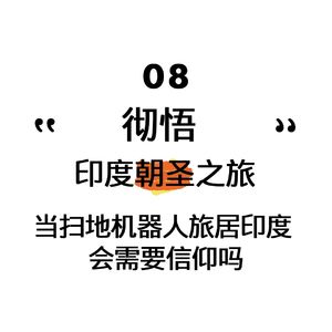 08. 《彻悟：印度朝圣之旅》当扫地机器人旅居印度，会转向宗教吗？