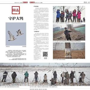 国际爱鸟日：彼此成就 | 和谐共生