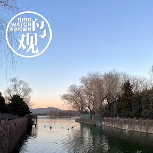 听声辨鸟方法多 |觅声寻美在颐和