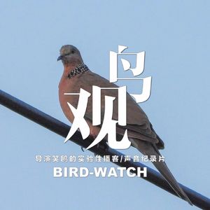 你看，那边有一只脖子上戴着珍珠项链的鸟