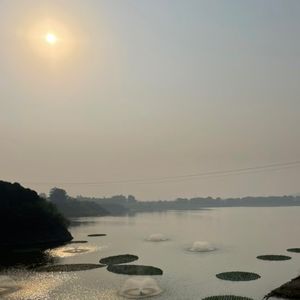 9月观鸟季：南北沙河伤草稀，桃峪口岸群鸟飞