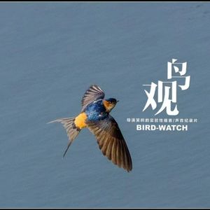 春分三候：玄鸟至 | 雷乃发生 | 始电