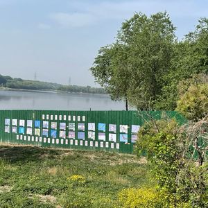 不想和你告别沙河的鸟——保护沙河生态摄影展