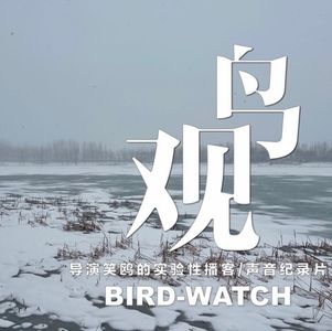 燕山雪花大如席