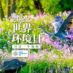 世界环境日观鸟:共建清洁美丽世界