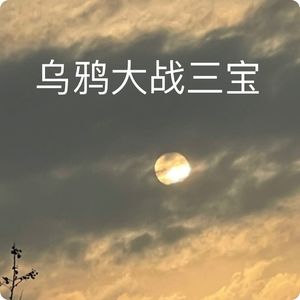 现场观察：乌鸦大战三宝鸟