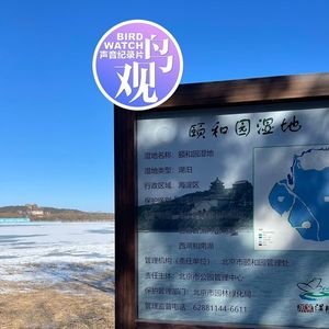 颐和园湿地：从自然的角度看待人文景观