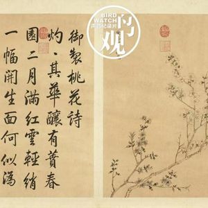 惊蛰三候：桃始华 |仓庚鸣 | 鹰化为鸠