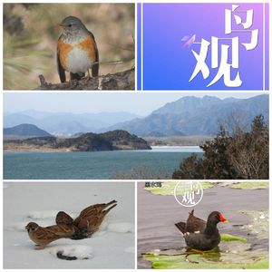 拾慧集：由Oroz的留言所想到的