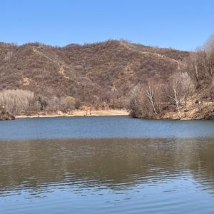 延庆山中晨起观鸟