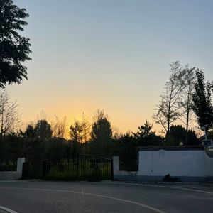 三宝鸟观察：三雏鸟蓄势待飞｜观鸟小百科：鸟的翅膀