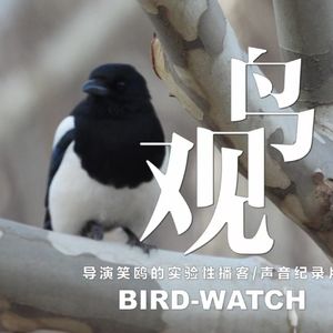 今日小寒｜鹊始巢｜小寒二候