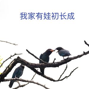 北京植物园观鸟：我家有娃初长成