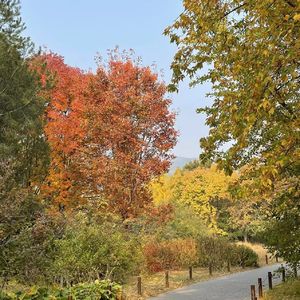 国家植物园观鸟：秋意秋色正当时