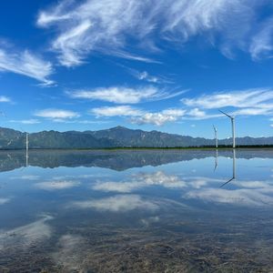 官厅水库观鸟记